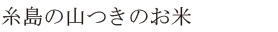 糸島の山つきのお米